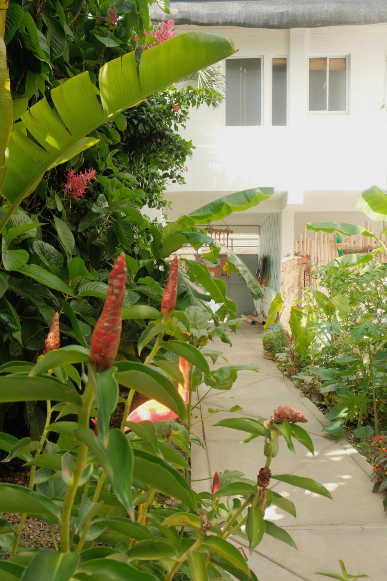 Kite House Cabarete Across Kite Beach Exterior foto